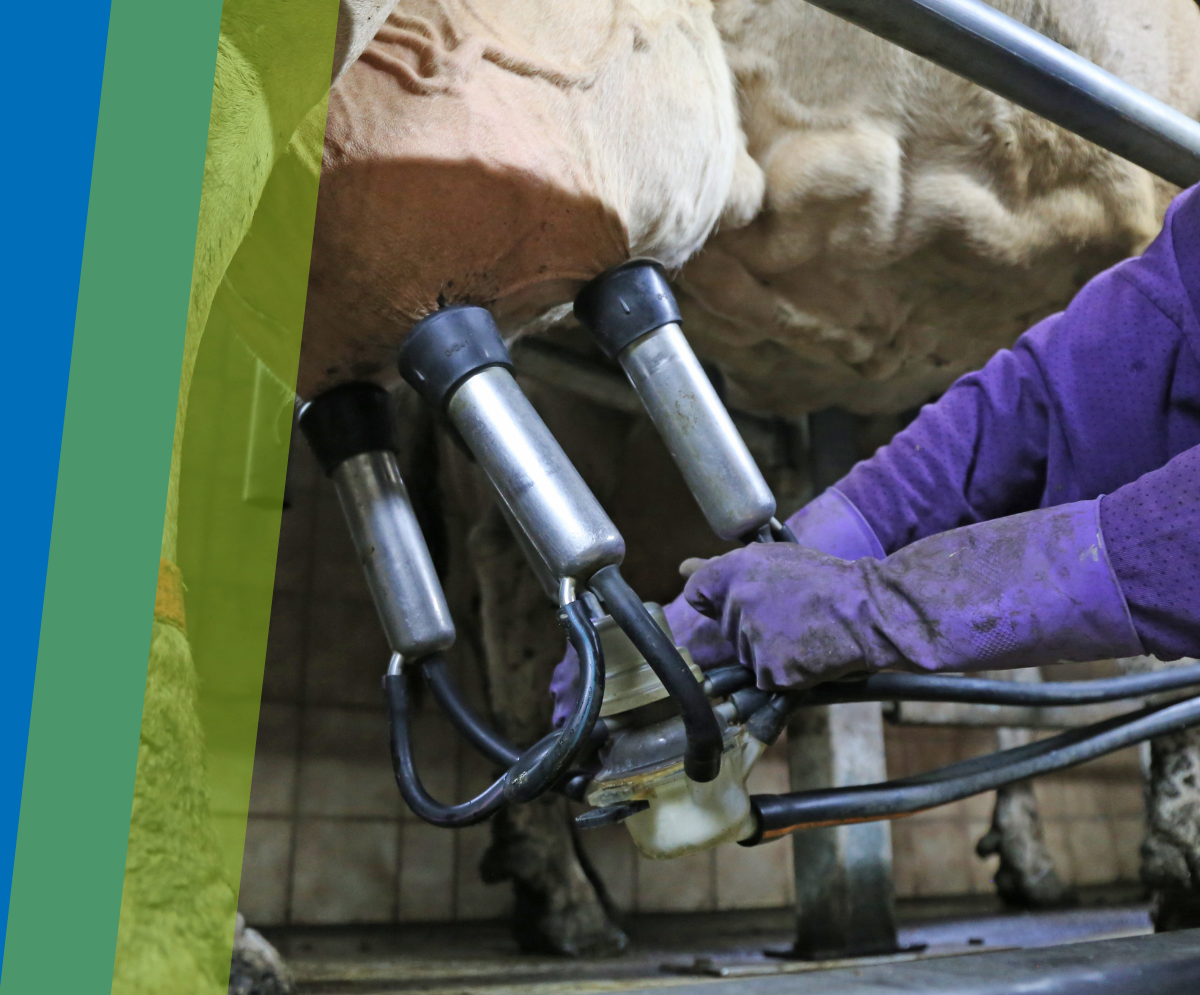 MATÉRIEL POUR LA SALLE DE TRAITE